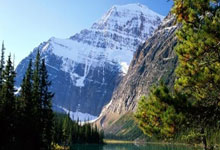 雷火电竞app-欧洲网球队强势澳大利亚网球队，德约科维奇绝境逆转的简单介绍