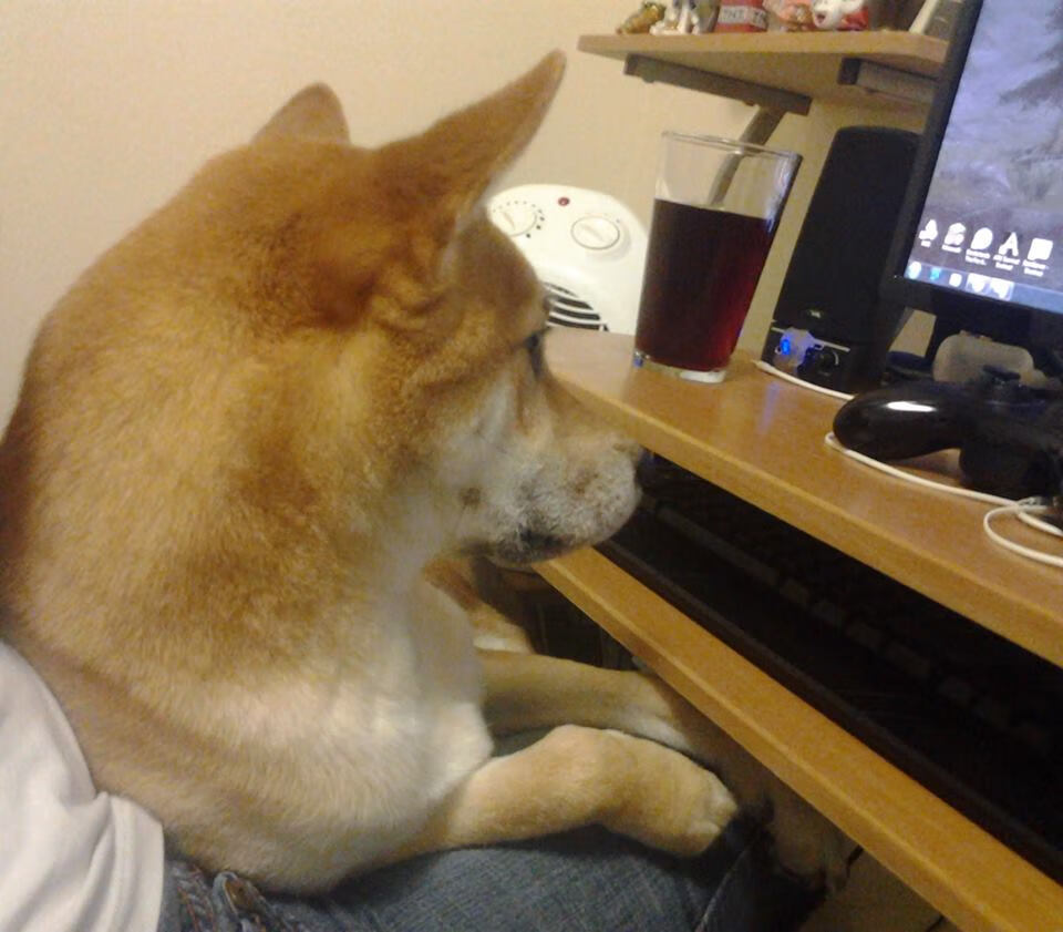 绿茵场与硬木地，英超争冠焦点战与76人逆转奇才的逆转史诗